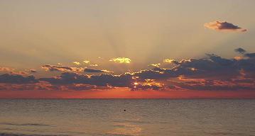 Searching for Love CAN be successful